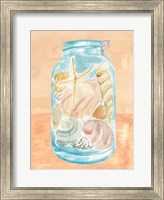 Framed Shell Collecting I
