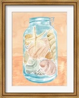 Framed Shell Collecting I