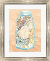 Framed Shell Collecting II