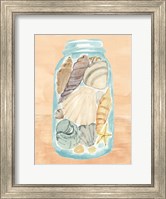 Framed Shell Collecting II