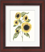 Framed Sunflower Composition I