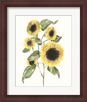 Framed Sunflower Composition I