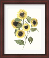 Framed 'Sunflower Composition II' border=