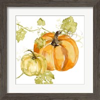 Framed 'Watercolor Harvest I' border=