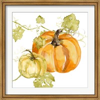 Framed Watercolor Harvest I