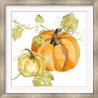Framed Watercolor Harvest I
