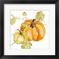 Framed 'Watercolor Harvest I' border=