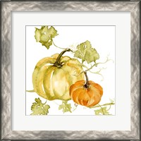 Framed Watercolor Harvest II