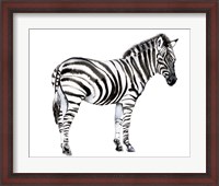 Framed Standing Zebra I
