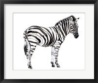 Framed Standing Zebra I