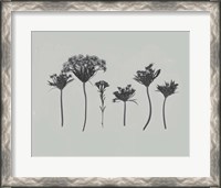 Framed Wildflower Memory I