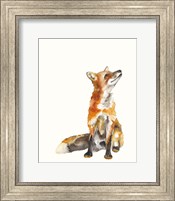 Framed Sly Fox I