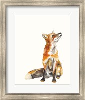 Framed Sly Fox I