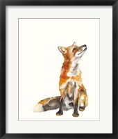 Framed Sly Fox I