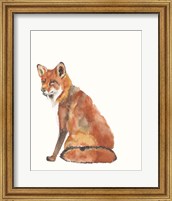 Framed Sly Fox II