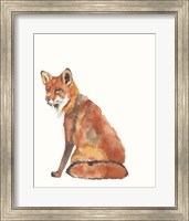Framed Sly Fox II