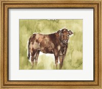 Framed Cow in the Field I