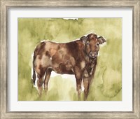 Framed Cow in the Field I