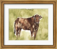 Framed Cow in the Field I