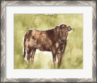 Framed Cow in the Field I