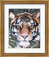 Framed Jungle Cat I