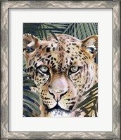 Framed 'Jungle Cat II' border=