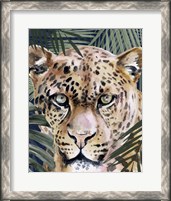 Framed Jungle Cat II