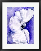 Framed Celestial Cockatoos I