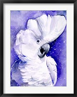 Framed Celestial Cockatoos I
