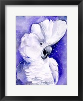 Framed Celestial Cockatoos I