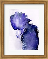 Framed Celestial Cockatoos II