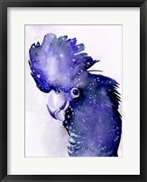 Framed Celestial Cockatoos II