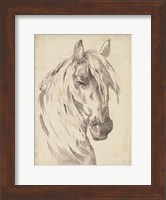 Framed Horse Portrait Sketch I