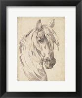 Framed Horse Portrait Sketch I