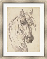 Framed Horse Portrait Sketch I