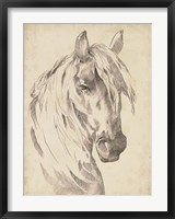 Framed Horse Portrait Sketch I