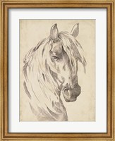 Framed Horse Portrait Sketch I