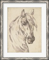 Framed Horse Portrait Sketch I