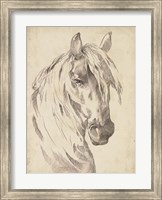 Framed Horse Portrait Sketch I