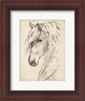 Framed Horse Portrait Sketch II