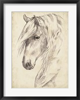 Framed Horse Portrait Sketch II