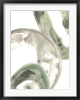 Framed Concentric Lichen I