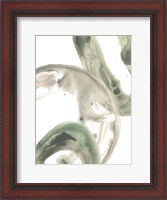 Framed Concentric Lichen I