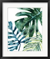 Tropical Leaf Medley III Framed Print