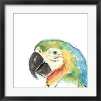 Framed 'Tropical Bird Portrait I' border=