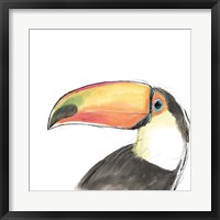 Framed Tropical Bird Portrait III