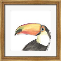 Framed Tropical Bird Portrait III