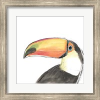 Framed Tropical Bird Portrait III