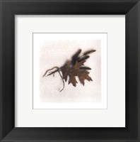 Framed Oak Leaf