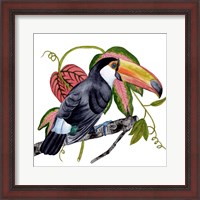 Framed Toco Toucan II